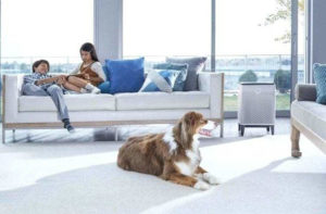 Best Air Purifiers for Pets